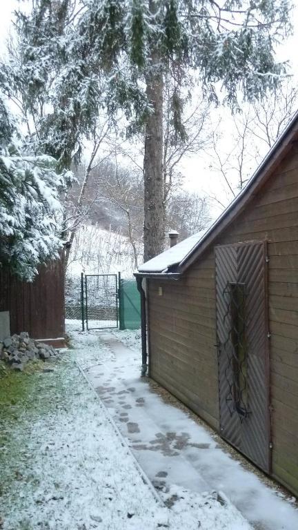 Vienna Cottage Exteriör bild